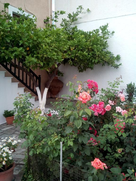Sofia's Garden Studios Skopelos Exterior foto